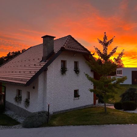 Holiday Home Dobrotin Vojnik Ngoại thất bức ảnh
