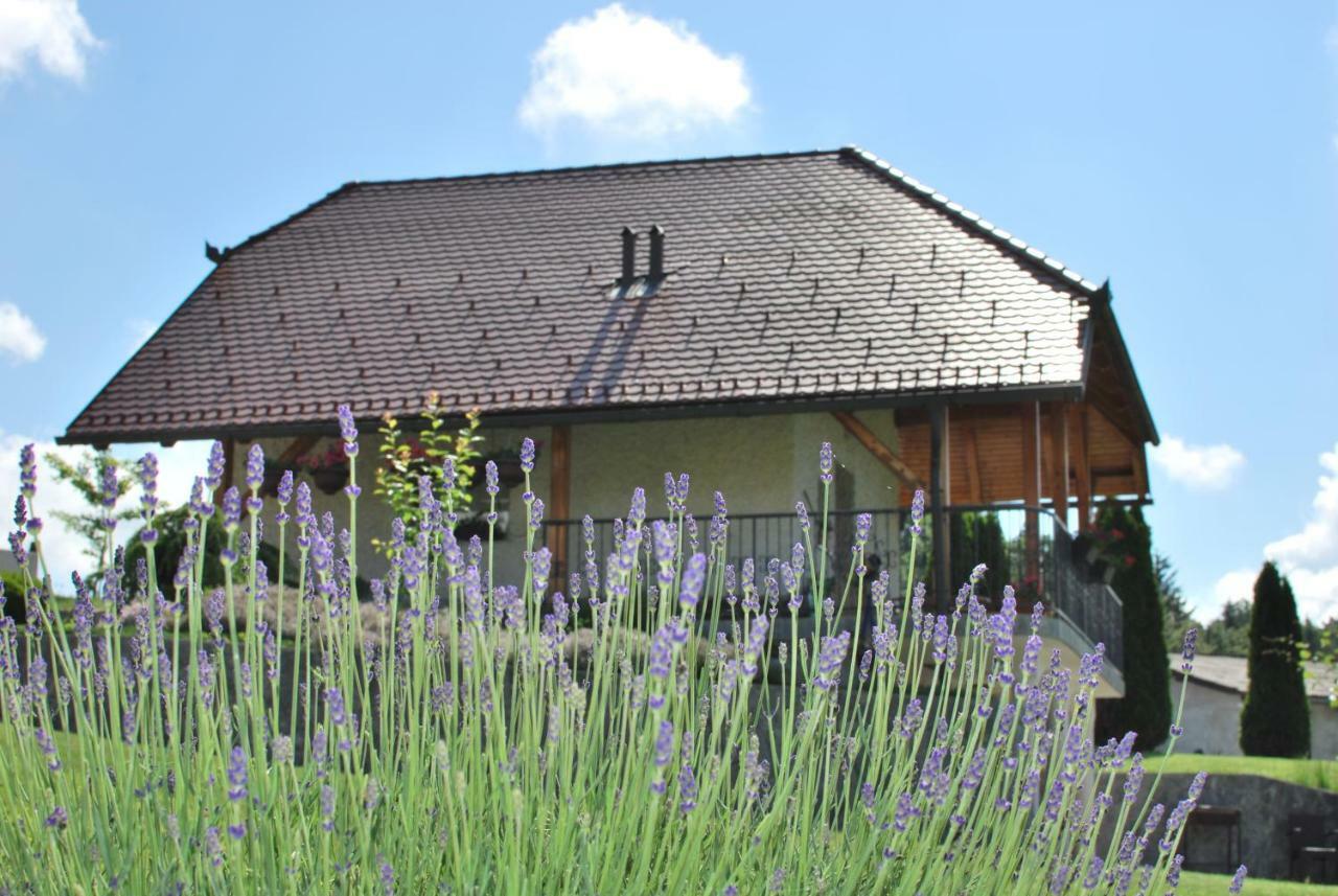 Holiday Home Dobrotin Vojnik Ngoại thất bức ảnh